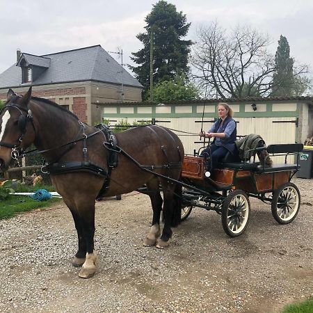 Hotel Maison D Hotes Le Saint Aubin Amfreville-la-Campagne Zewnętrze zdjęcie