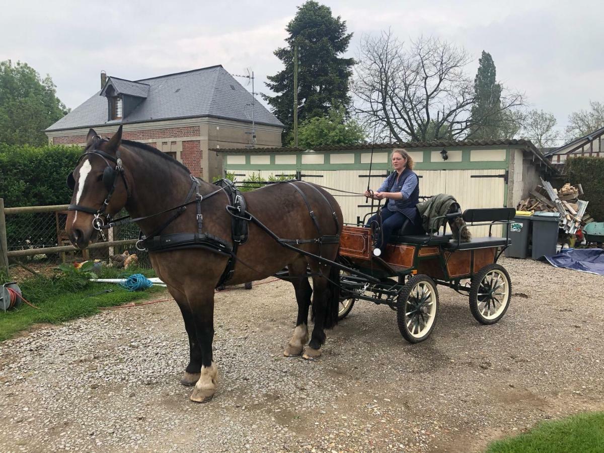 Hotel Maison D Hotes Le Saint Aubin Amfreville-la-Campagne Zewnętrze zdjęcie